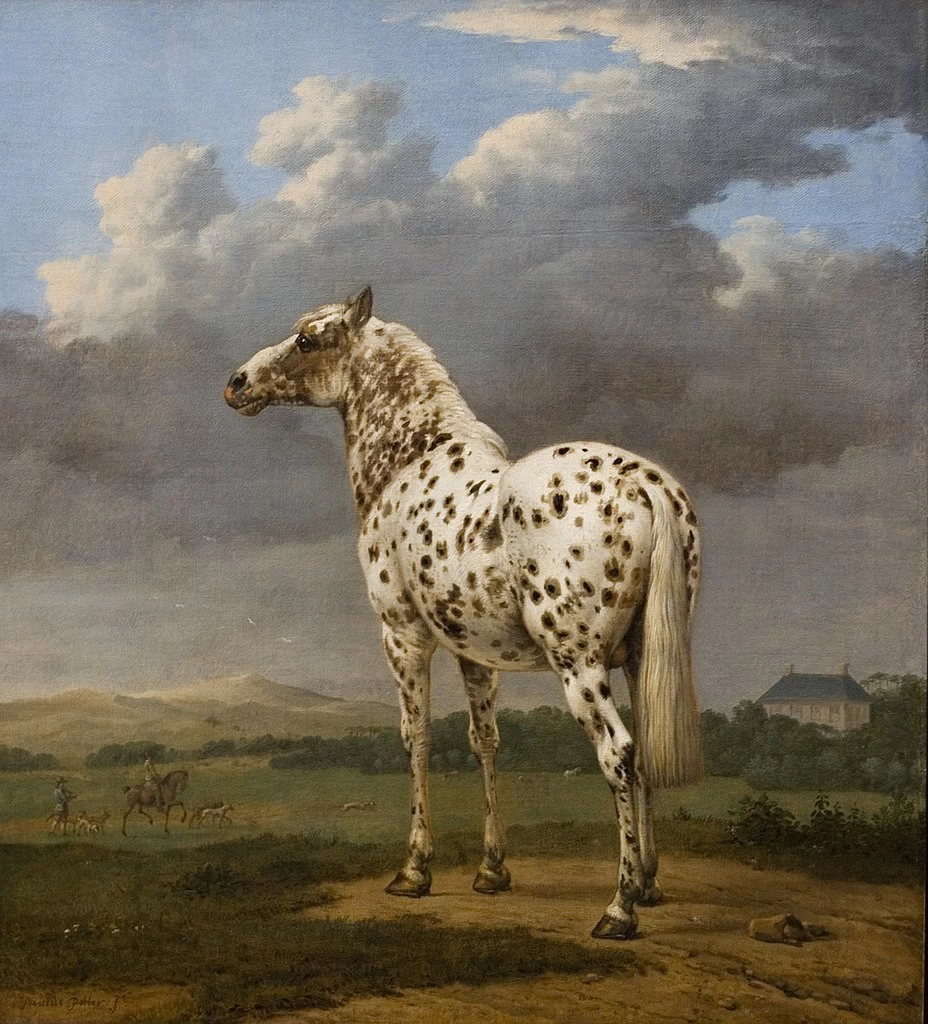 Il cavallo pezzato